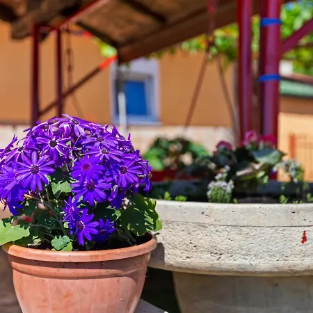 Simplistic In With Private Garden * Opatija